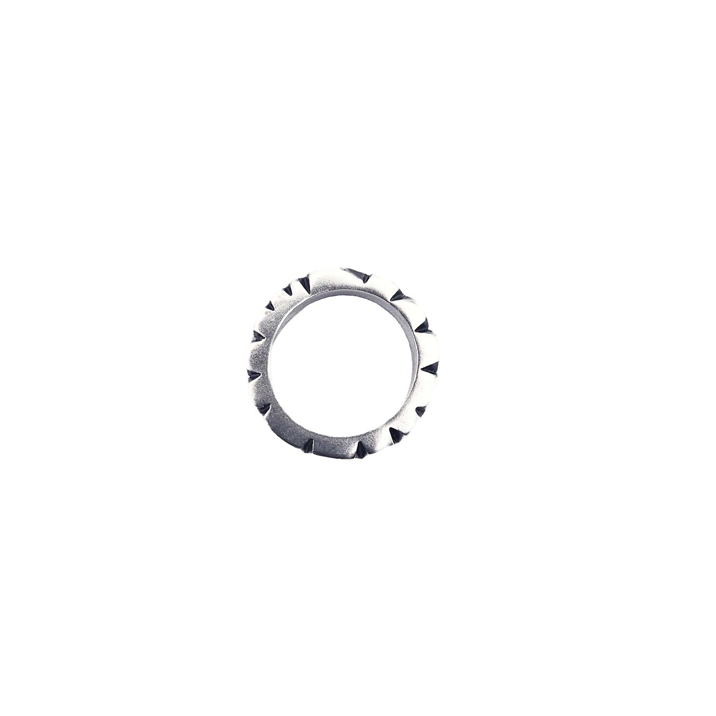 Anillo Engranaje Completo